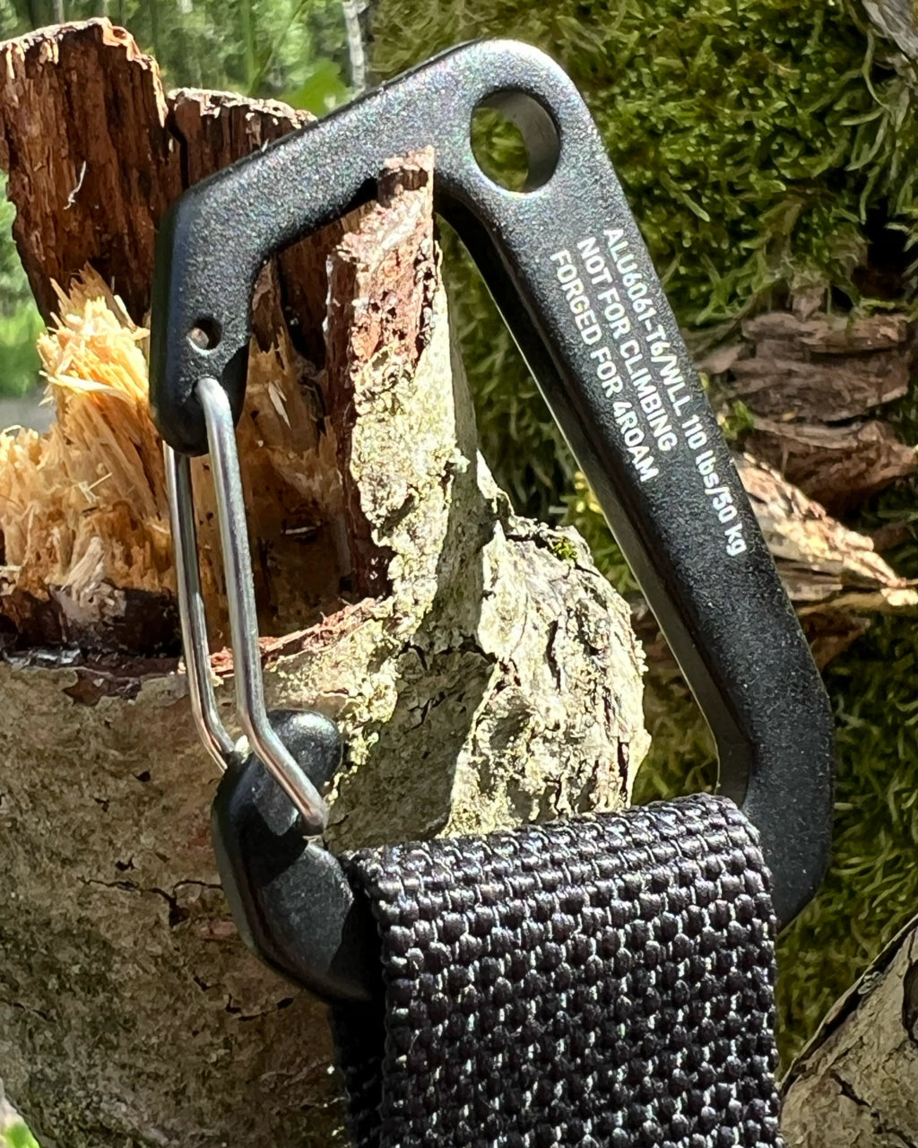 4ROAM Carabiner